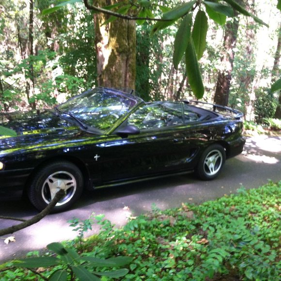 Meet your Posher, Lee - Picture 3 of 3